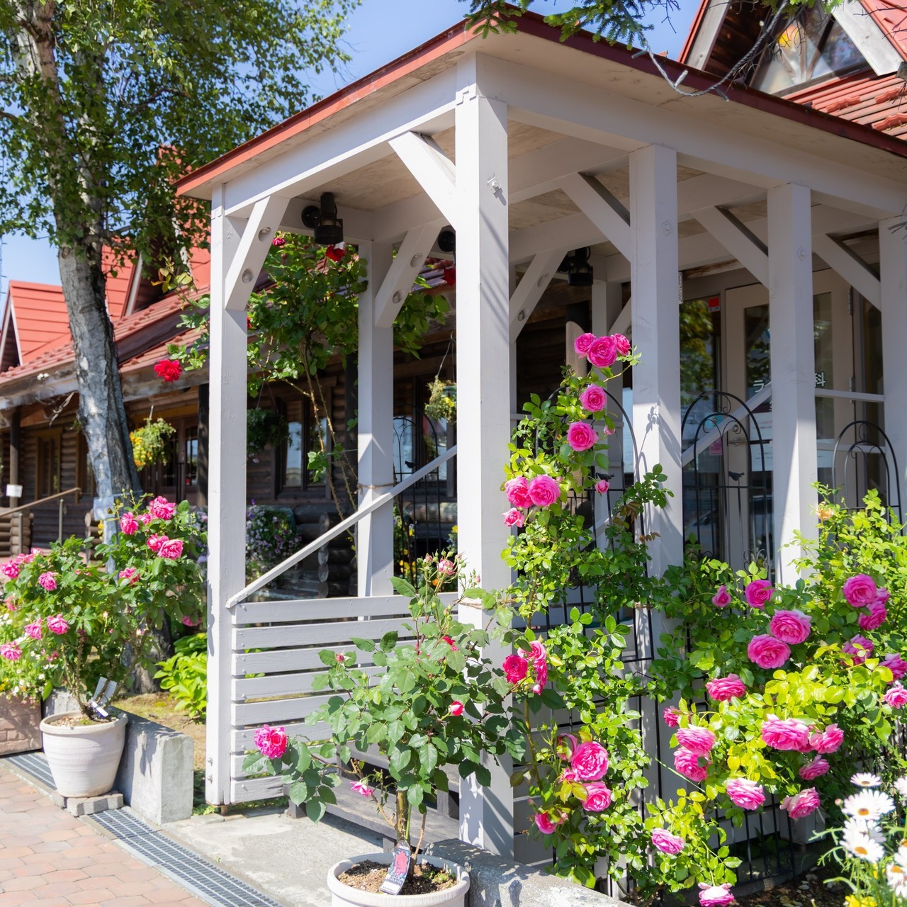 恵庭市の歯医者・矯正歯科は、ライオン歯科クリニック