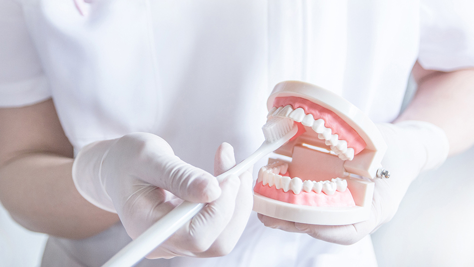 恵庭市の予防歯科・定期検診