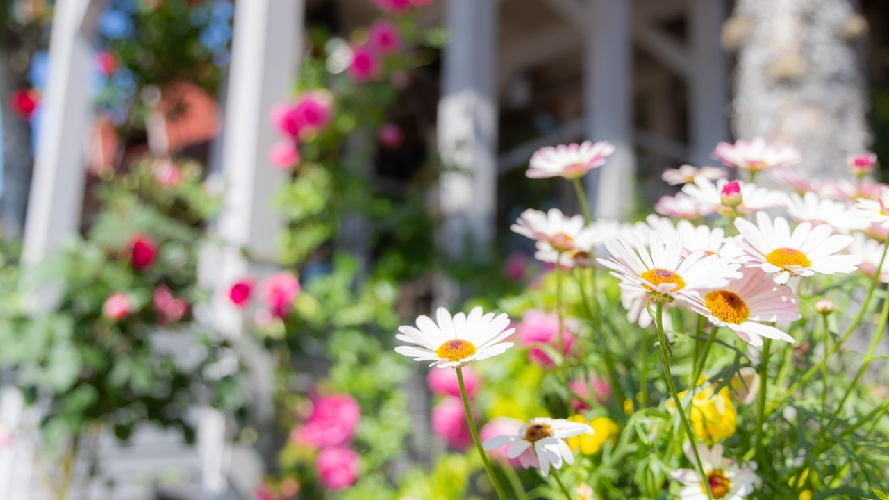 恵庭市の歯科医院の院長プロフィール