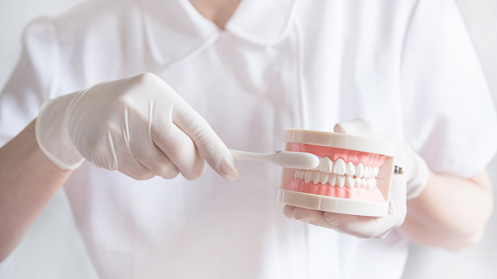 恵庭市の予防歯科・定期検診