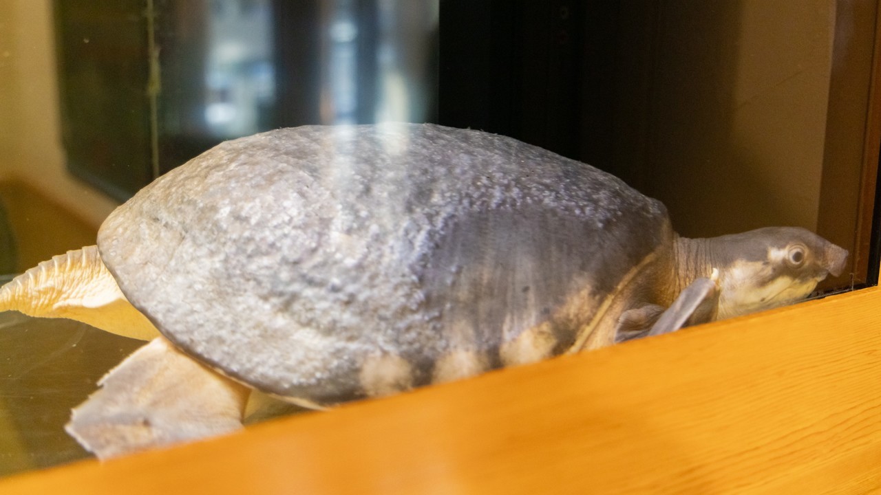 恵庭市の歯科医院の院長プロフィール